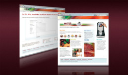 FLAVIA-Webdesign-Internetseiten